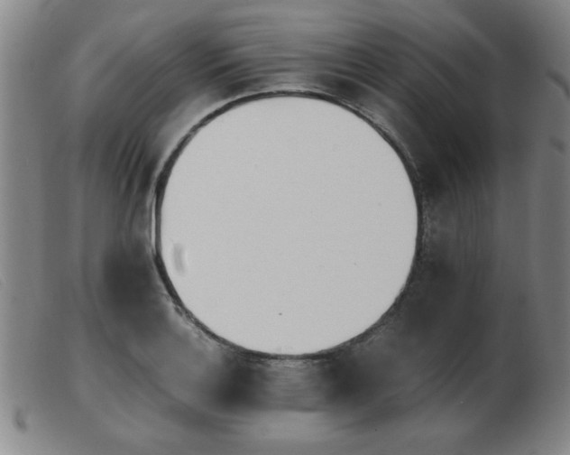 X0000103901132200809191232