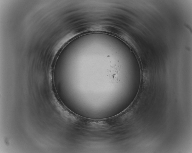 X0000103901133200809191232