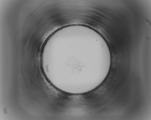 X0000103901134200809191232