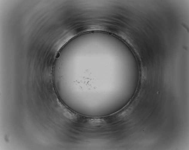 X0000103901137200809191232