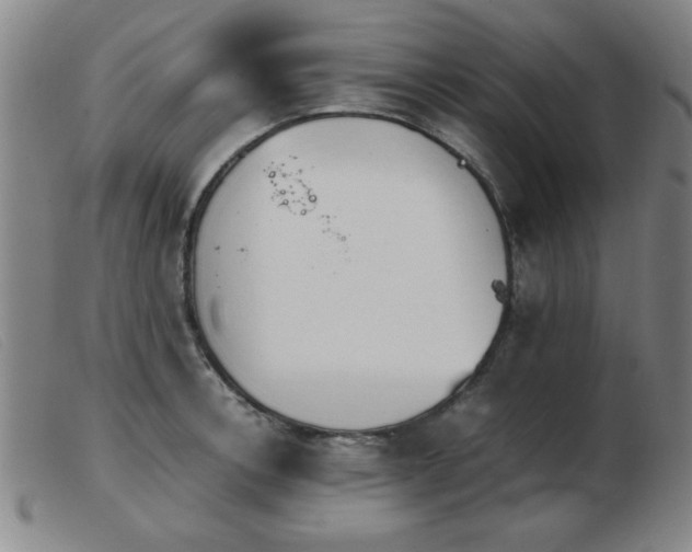 X0000103901138200809191232