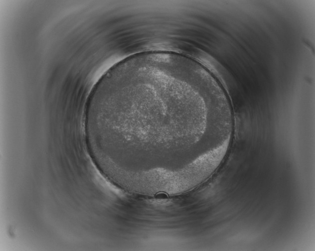 X0000103901141200809191232