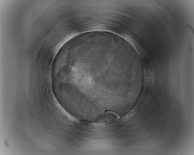 X0000103901142200809191232