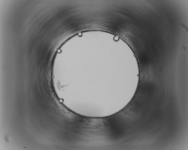 X0000103901144200809191232