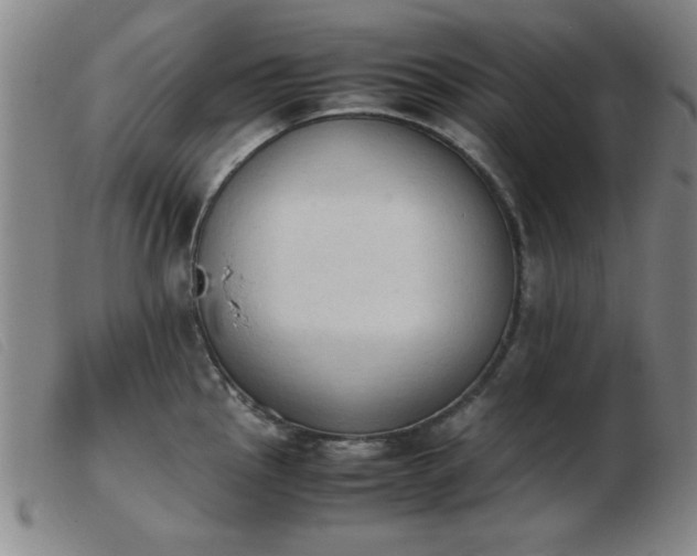 X0000103901145200809191232