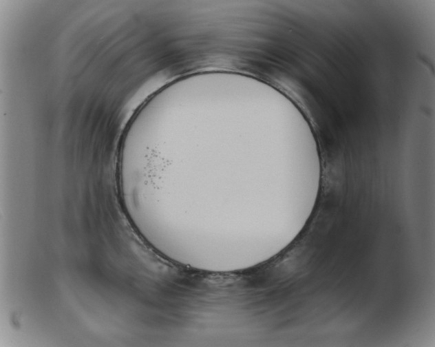X0000103901146200809191232