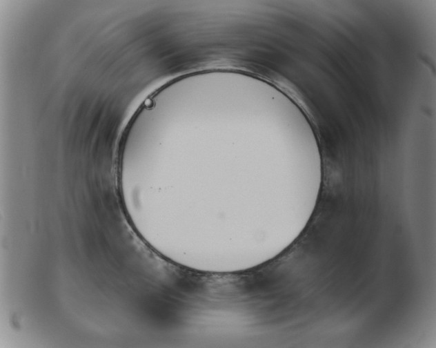 X0000103901148200809191232