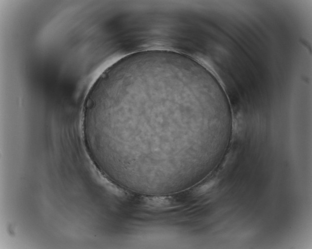 X0000103901149200809191232
