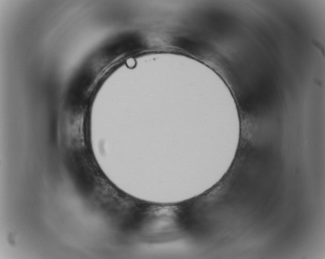 X0000103901150200809191232