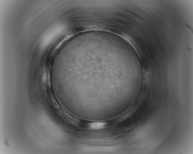 X0000103901151200809191232