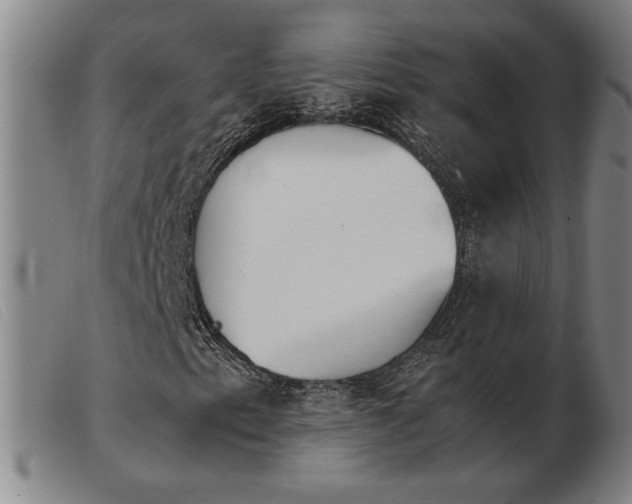 X0000103901153200809191231