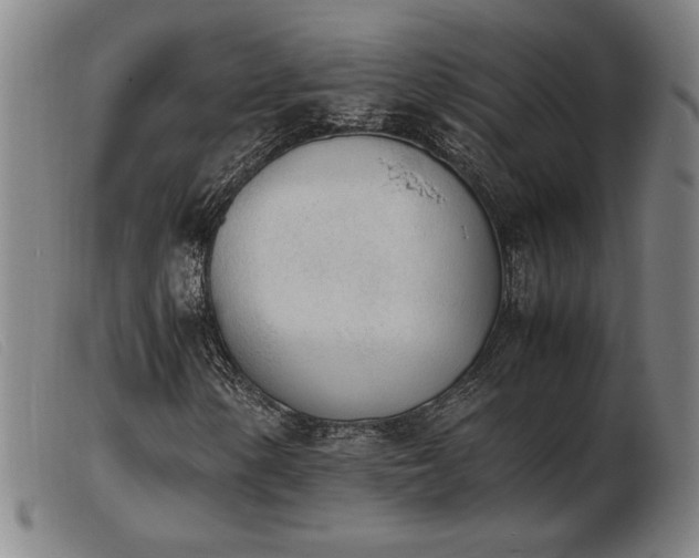X0000103901154200809191231