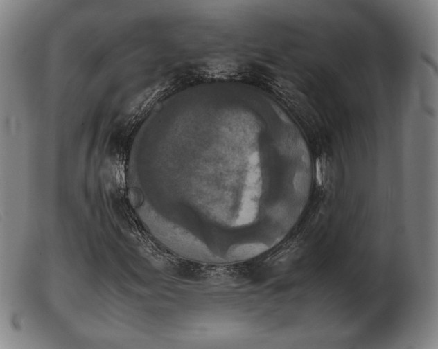 X0000103901155200809191231