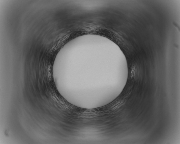 X0000103901156200809191231