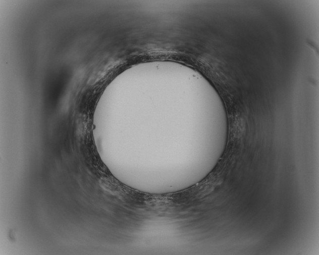 X0000103901157200809191231