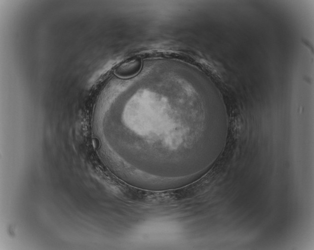 X0000103901159200809191231