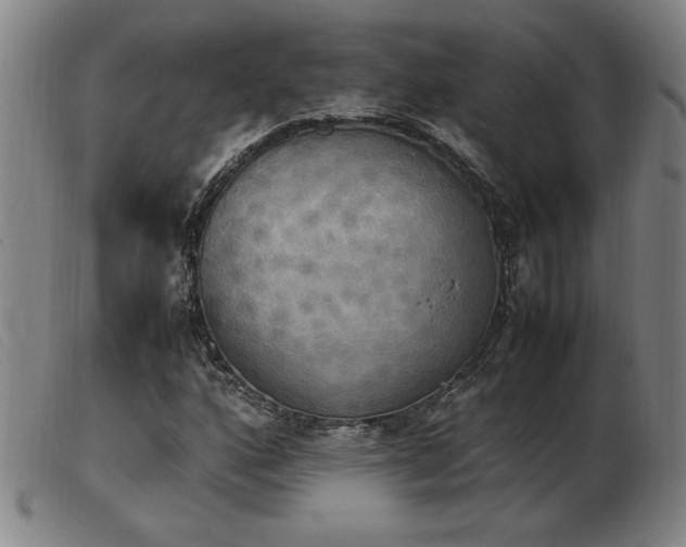 X0000103901160200809191231