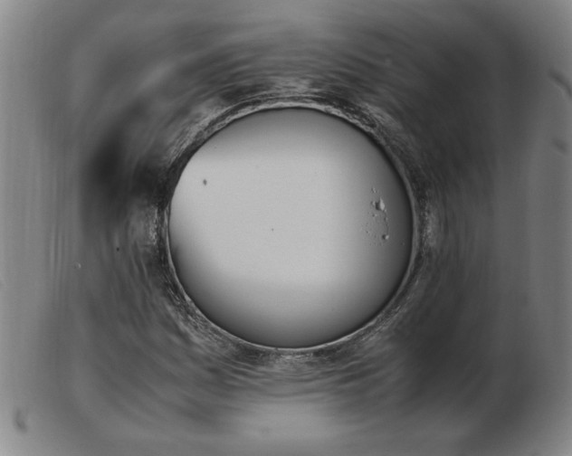 X0000103901161200809191231