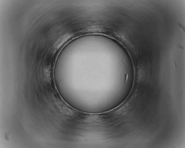 X0000103901162200809191231
