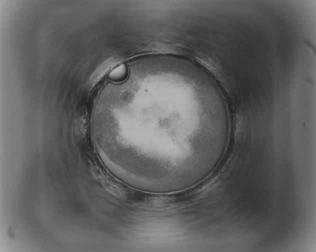 X0000103901163200809191231