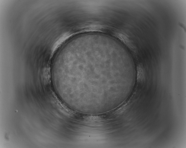 X0000103901164200809191231