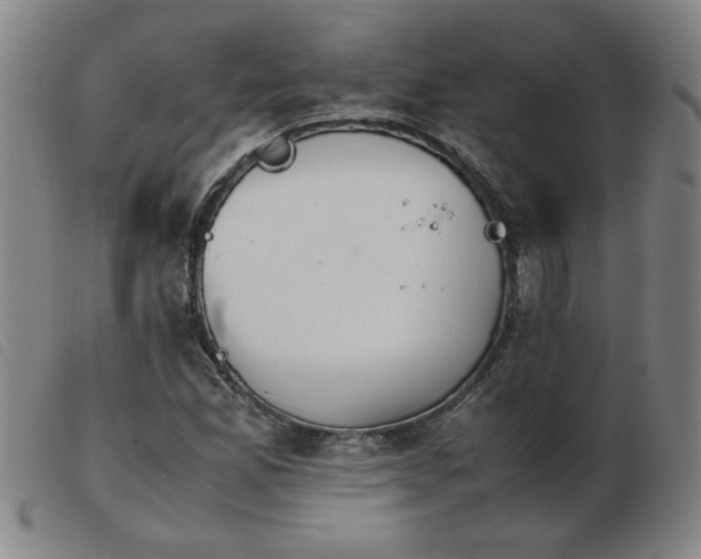 X0000103901165200809191231