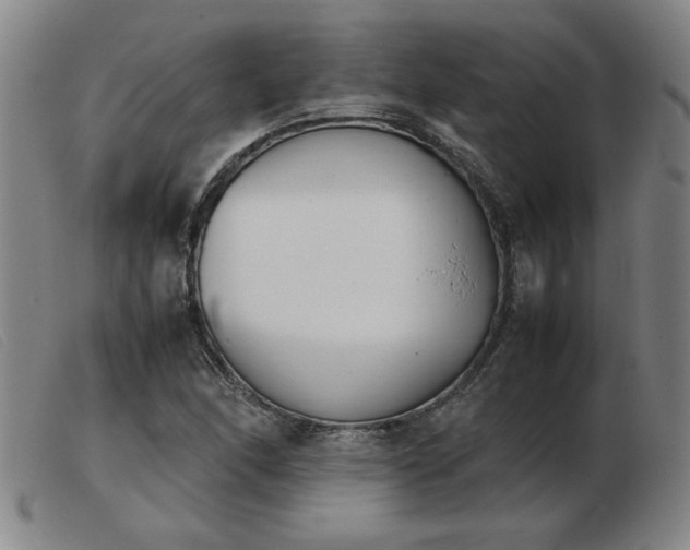 X0000103901166200809191231