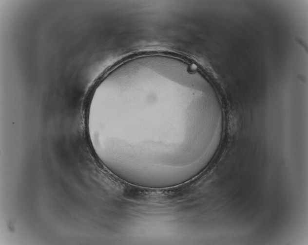 X0000103901167200809191231