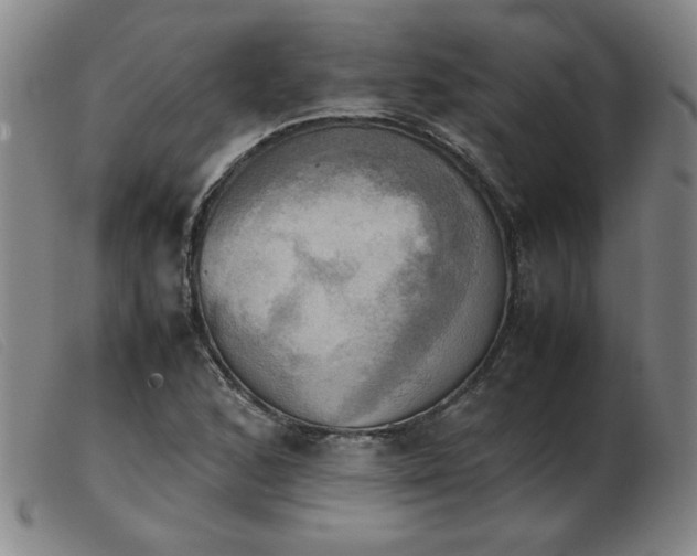 X0000103901168200809191231