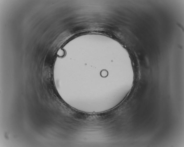 X0000103901169200809191231