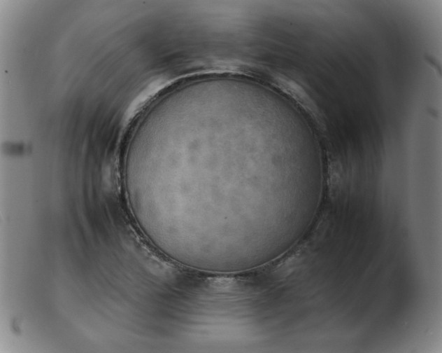 X0000103901172200809191231