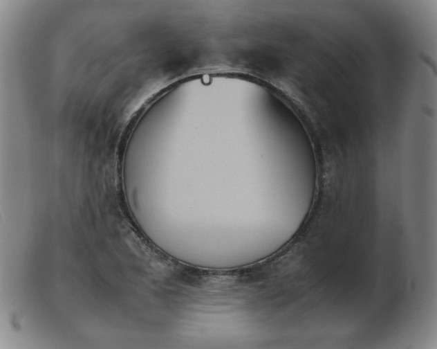 X0000103901173200809191231