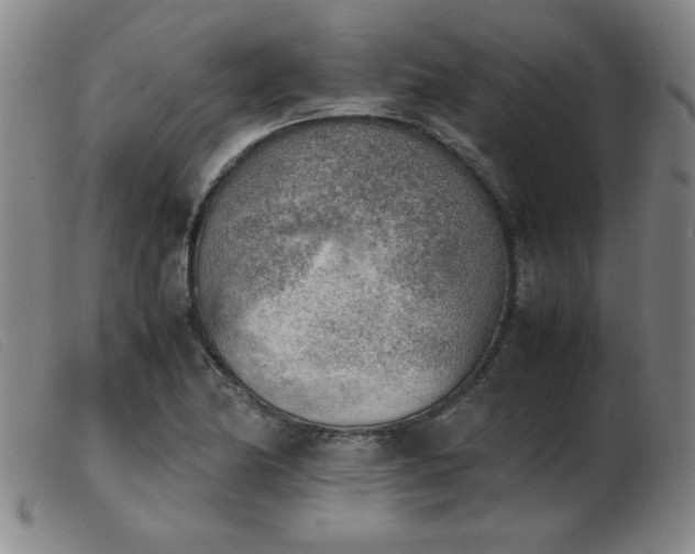 X0000103901174200809191231