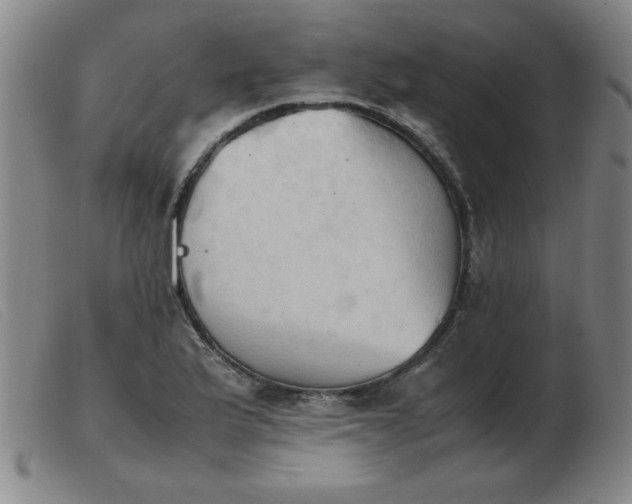 X0000103901175200809191231