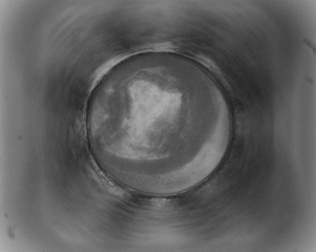 X0000103901176200809191231