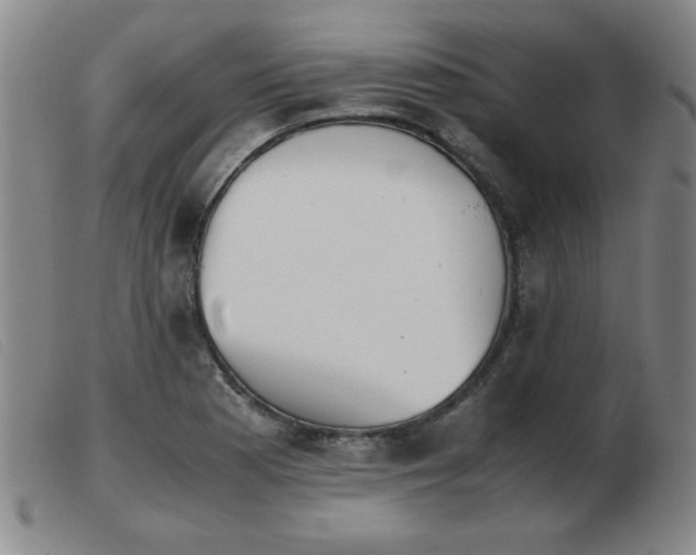 X0000103901177200809191231