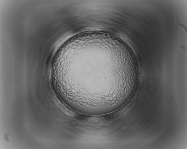 X0000103901179200809191231