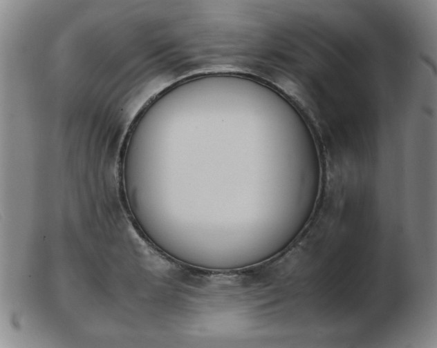 X0000103901181200809191231