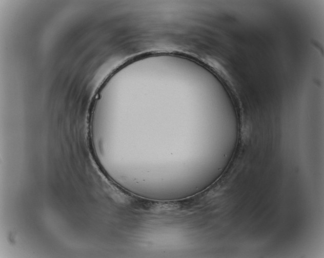 X0000103901183200809191231