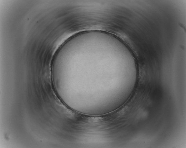 X0000103901184200809191231