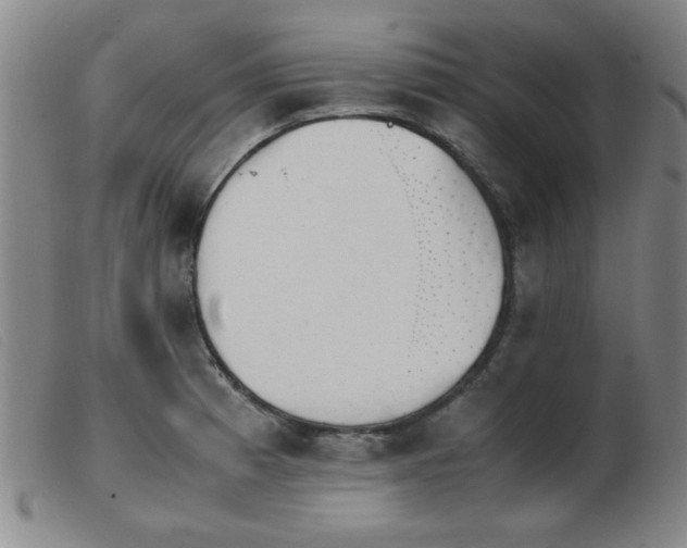 X0000103901185200809191231