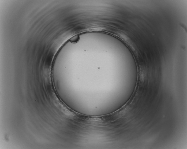X0000103901186200809191231