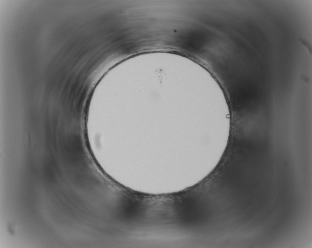 X0000103901187200809191231