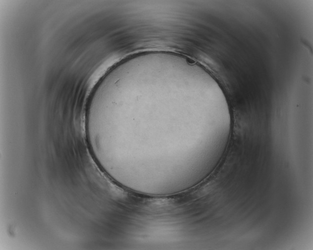X0000103901188200809191231