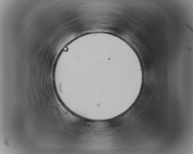 X0000103901189200809191231