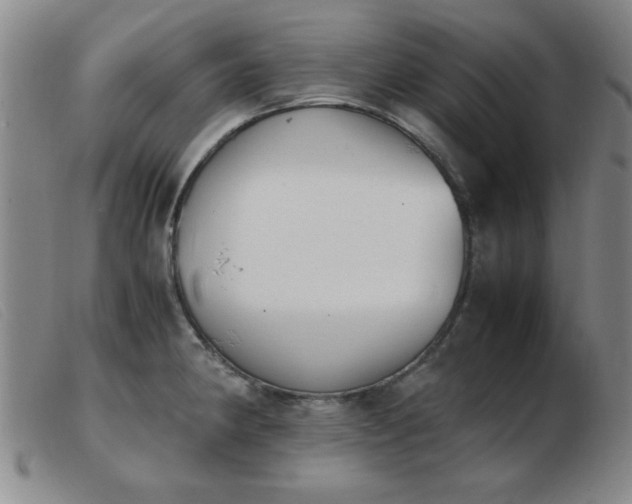 X0000103901190200809191231
