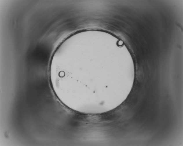 X0000103901191200809191231
