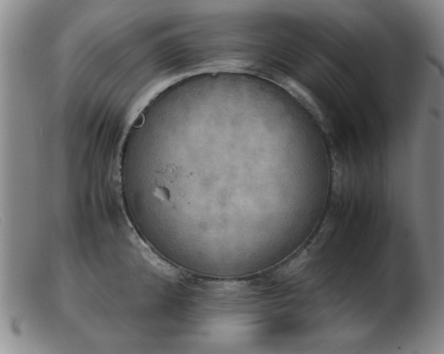 X0000103901192200809191231