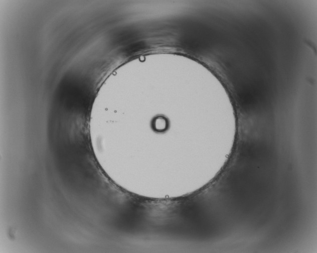 X0000103901193200809191231
