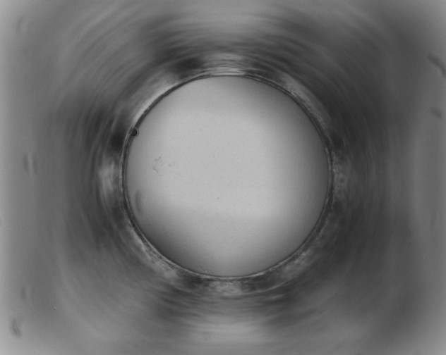 X0000103901194200809191231